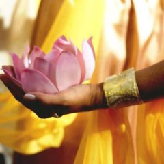 Fleur de lotus dans une main